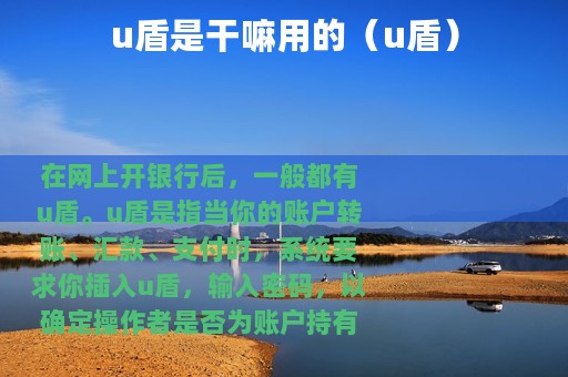 u盾是干嘛用的（u盾）