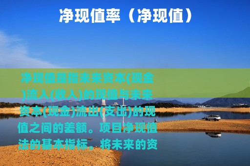 净现值率（净现值）