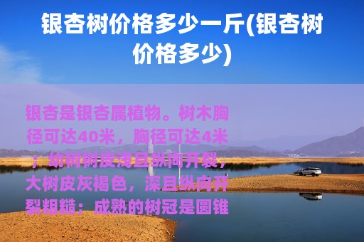 银杏树价格多少一斤(银杏树价格多少)