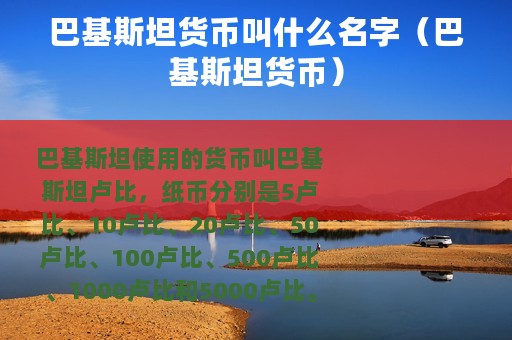 巴基斯坦货币叫什么名字（巴基斯坦货币）
