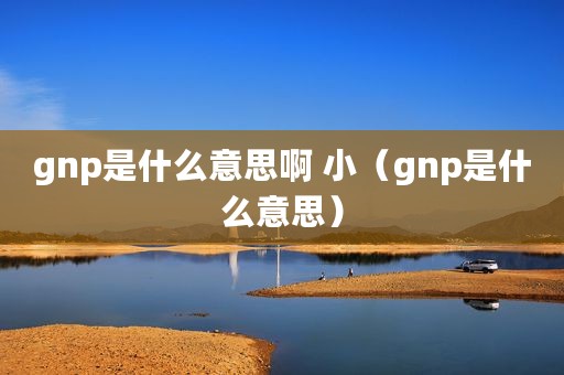 gnp是什么意思啊 小（gnp是什么意思）