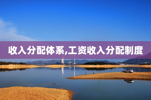 收入分配体系,工资收入分配制度