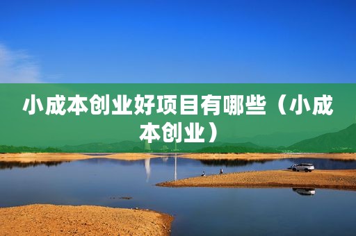 小成本创业好项目有哪些（小成本创业）