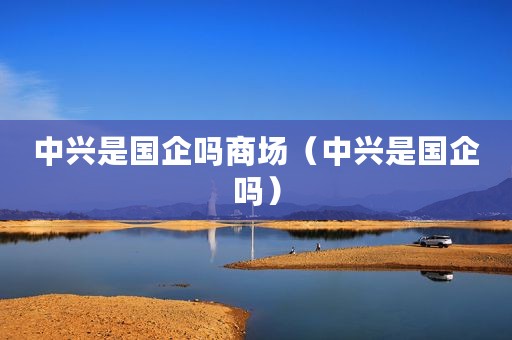 中兴是国企吗商场（中兴是国企吗）