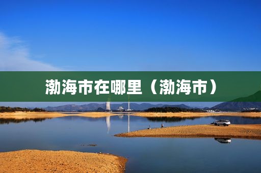 渤海市在哪里（渤海市）