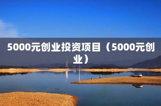 5000元创业投资项目（5000元创业）