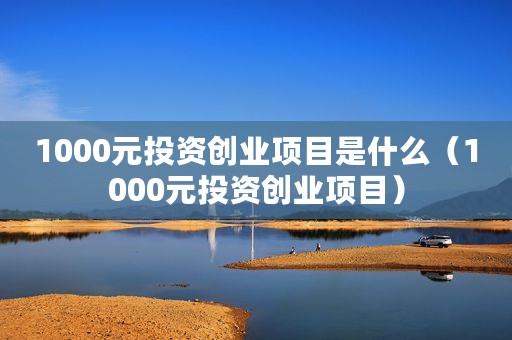 1000元投资创业项目是什么（1000元投资创业项目）