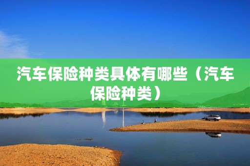汽车保险种类具体有哪些（汽车保险种类）