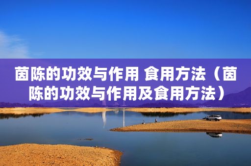 茵陈的功效与作用 食用方法（茵陈的功效与作用及食用方法）