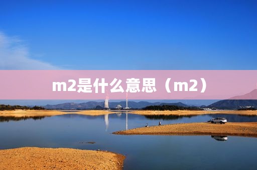 m2是什么意思（m2）