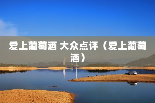 爱上葡萄酒 大众点评（爱上葡萄酒）