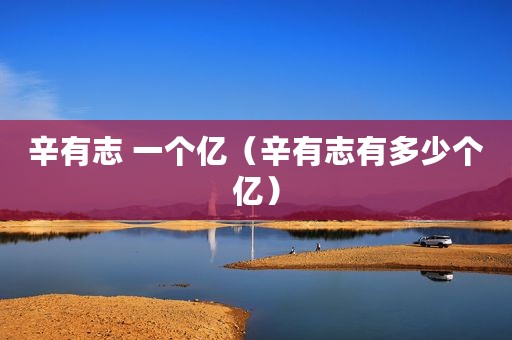 辛有志 一个亿（辛有志有多少个亿）