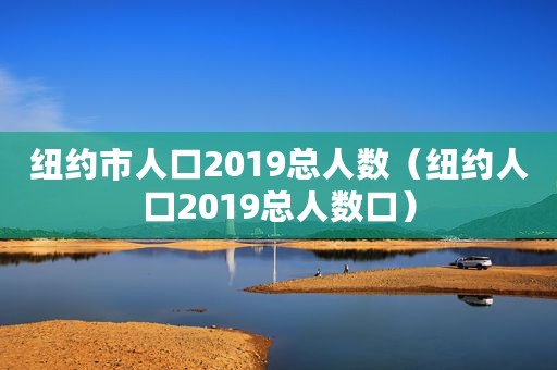 纽约市人口2019总人数（纽约人口2019总人数口）