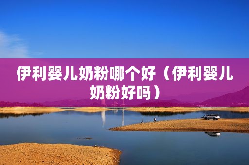 伊利婴儿奶粉哪个好（伊利婴儿奶粉好吗）