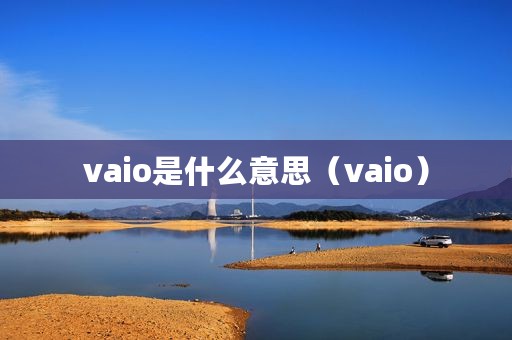 vaio是什么意思（vaio）