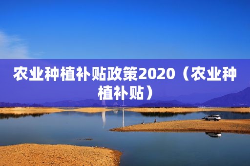 农业种植补贴政策2020（农业种植补贴）