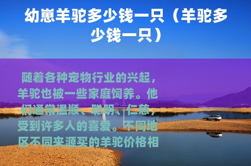 幼崽羊驼多少钱一只（羊驼多少钱一只）