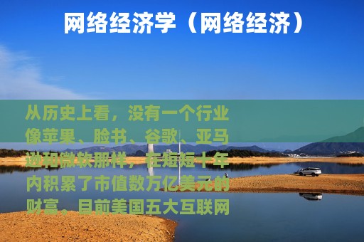 网络经济学（网络经济）