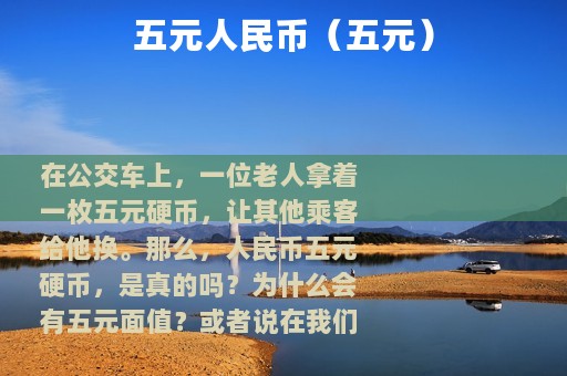 五元人民币（五元）