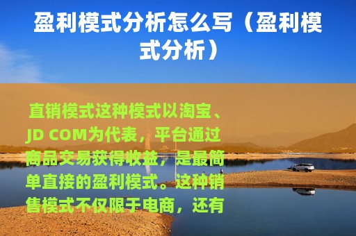 盈利模式分析怎么写（盈利模式分析）