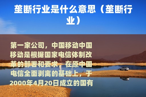 垄断行业是什么意思（垄断行业）