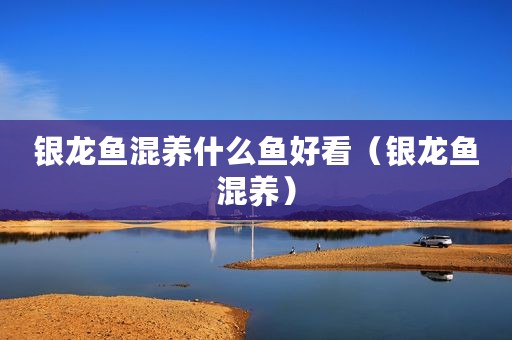 银龙鱼混养什么鱼好看（银龙鱼混养）