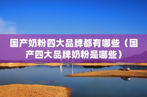 国产奶粉四大品牌都有哪些(国产四大品牌奶粉是哪些) 国产奶粉四大品牌都有哪些(国产四大品牌奶粉是哪些)