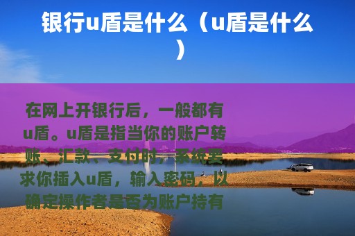 银行u盾是什么（u盾是什么）