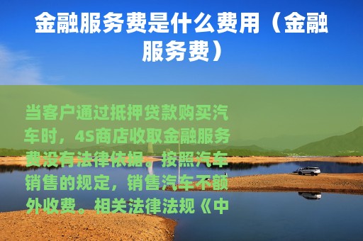 金融服务费是什么费用（金融服务费）