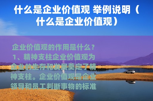 什么是企业价值观 举例说明（什么是企业价值观）