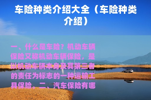 车险种类介绍大全（车险种类介绍）
