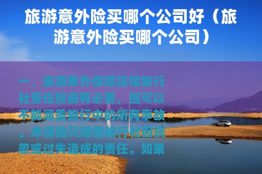 旅游意外险买哪个公司好（旅游意外险买哪个公司）