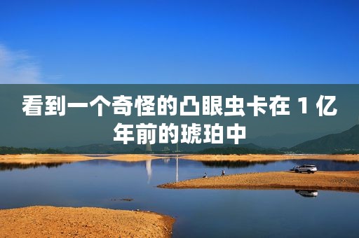 看到一个奇怪的凸眼虫卡在 1 亿年前的琥珀中