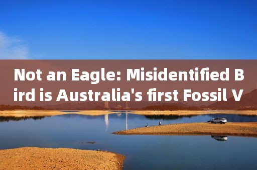 Not an Eagle: Misidentified Bird is Australia's first Fossil Vulture