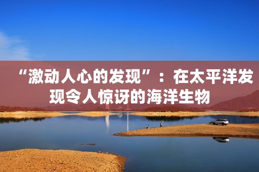 “激动人心的发现”：在太平洋发现令人惊讶的海洋生物