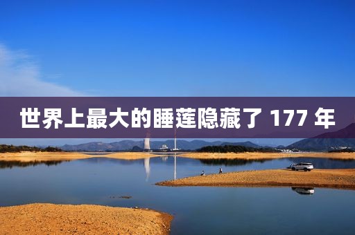 世界上最大的睡莲隐藏了 177 年