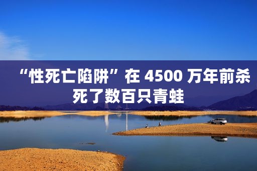 “性死亡陷阱”在 4500 万年前杀死了数百只青蛙