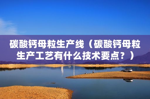 碳酸钙母粒生产线（碳酸钙母粒生产工艺有什么技术要点？）