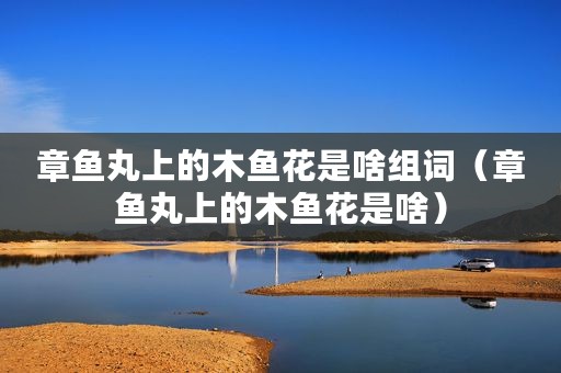 章鱼丸上的木鱼花是啥组词（章鱼丸上的木鱼花是啥）