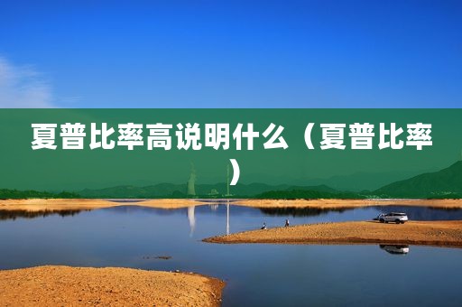 夏普比率高说明什么（夏普比率）