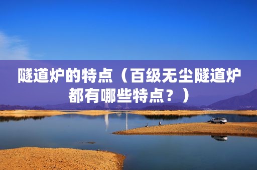 隧道炉的特点（百级无尘隧道炉都有哪些特点？）