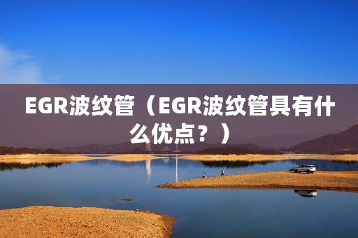 EGR波纹管（EGR波纹管具有什么优点？）