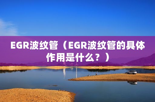 EGR波纹管（EGR波纹管的具体作用是什么？）