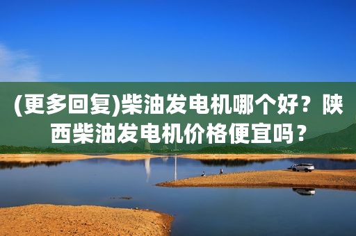 (更多回复)柴油发电机哪个好？陕西柴油发电机价格便宜吗？