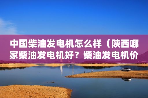 中国柴油发电机怎么样（陕西哪家柴油发电机好？柴油发电机价格怎么样？）