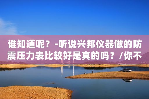 谁知道呢？-听说兴邦仪器做的防震压力表比较好是真的吗？/你不说