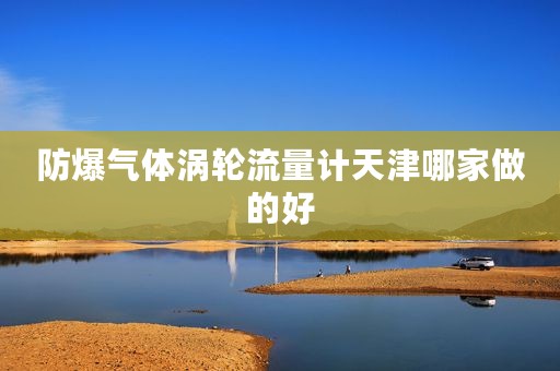 防爆气体涡轮流量计天津哪家做的好