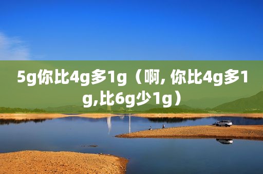 5g你比4g多1g（啊, 你比4g多1g,比6g少1g）