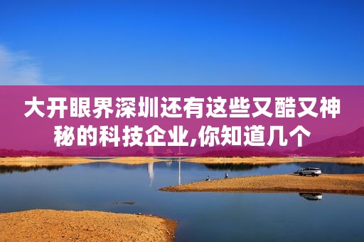 大开眼界深圳还有这些又酷又神秘的科技企业,你知道几个