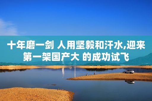 十年磨一剑 人用坚毅和汗水,迎来第一架国产大 的成功试飞